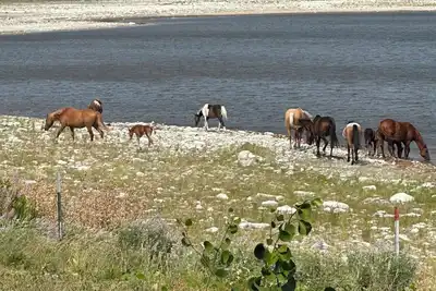 Image de Montana Moon Camper #1 on the Lake