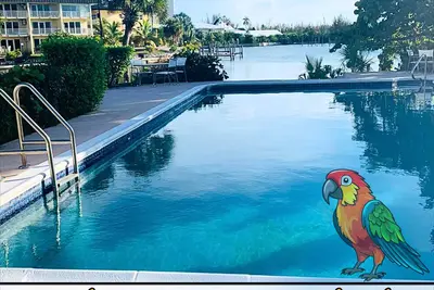 The Parrot's Nest - Modern Waterfront Getaway - No Cleaning Fee!