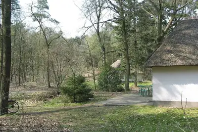 Image de Villa forestière à Herperduin avec jacuzzi