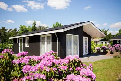 Image de Chalet aux Pays-Bas près de l'Étang