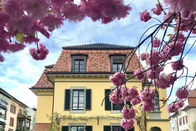 Image de Charming apartment in an art nouveau building in Bern