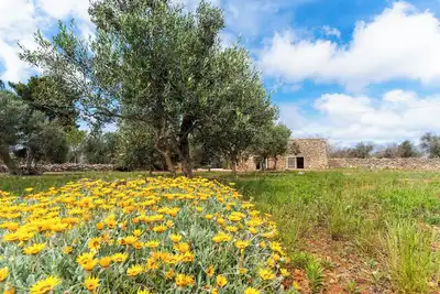 Image de Le Pajare di Annibale by BarbarHouse