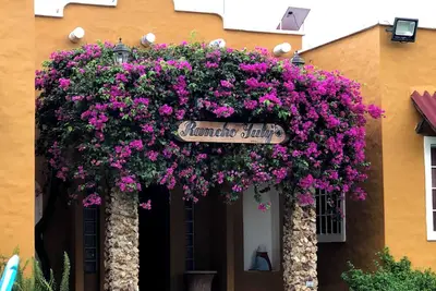 Image de Charming 3-bedroom estate with WiFi, Ac in tranquil Nueva Gorgona