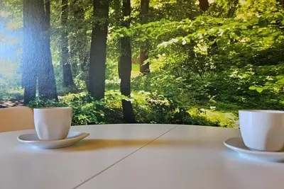 Image de Vacation apartment/apartment for 4 guests with 55m² in Habruck (272838)