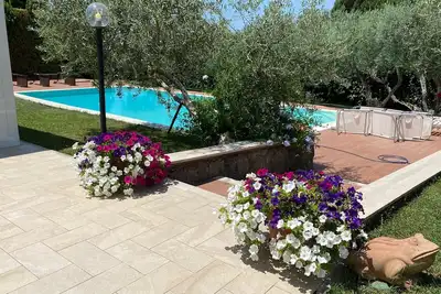 Image de Visit Rome from a quiet place Frascati
