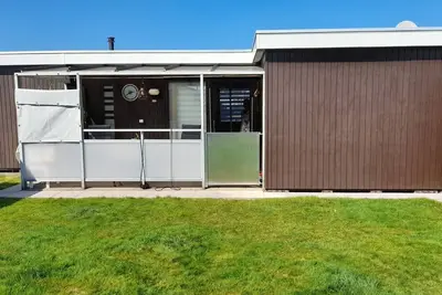 Image de Vacation Belgium Sea Vacation Dog