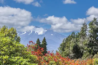 Maungatapu Studio 1 - Ohakune Holiday Home