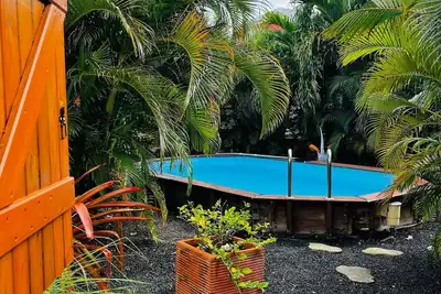 Image de Nid d'amour à la campagne dans un jardin arboré de fleurs et de fruits