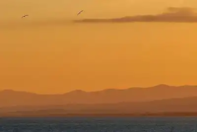 Image de Plage Almadrava