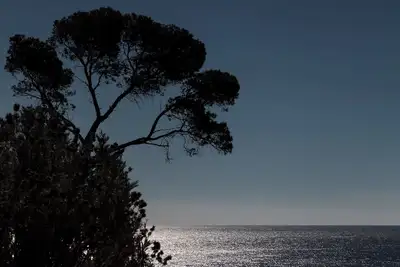 Image de Loue Villa exceptionnelle sur la côte méditerranéenne.