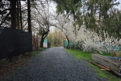 Image de unique loft space close to town, skiing, biking and hiking