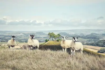 Image de Seattle Extended Stay Hotel Located In Downtown Bellevue