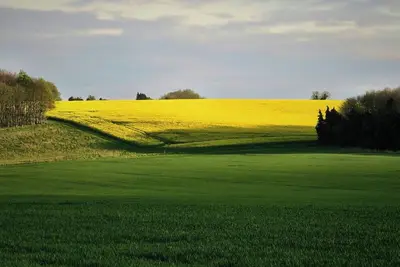 Image de Your one-of-a-kind modern experience in Bellevue, Wa