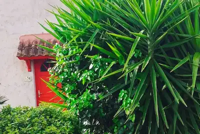 Image de a proximité des golfes d'Ajaccio et de Lava