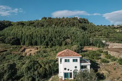 Image de Nature-Lover’s Jeju Escape, Private Forest Stay with Seasonal Blooms & Skies