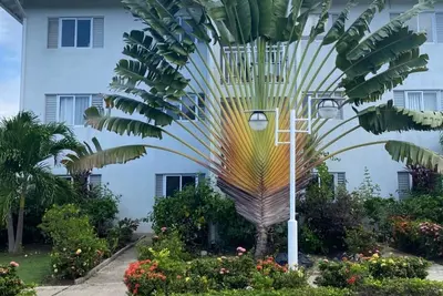 Image de Cozy 2-bedroom apartment with Ac, WiFi in lovely Richmond Estate