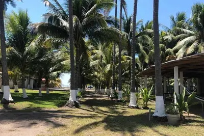 Image de Welcome to the Coconut Grove\nBeach front Property
