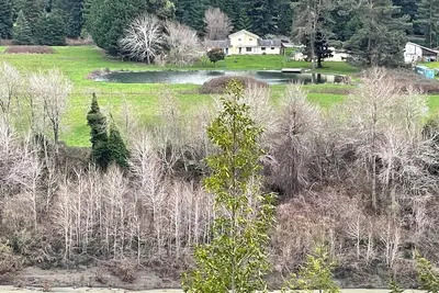 Image de Comfortable home near the Avenue of the Giants with large pond on the Eel River.