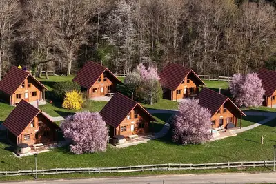 Image de \"Domaine la Clairière\" Le Douglas