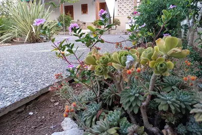 Image de The garden of Sofia Charm and Comfort Apartment