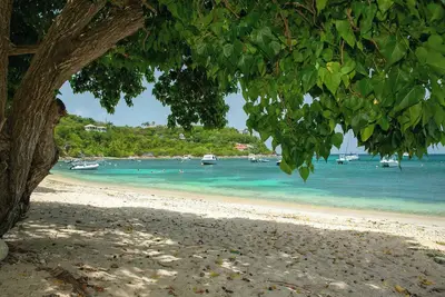 Image de Nautilus- Beach Front with 3 King Suites