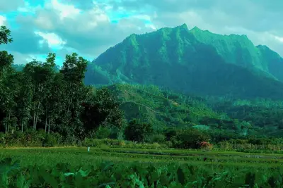 Image de Explore downtown Tacoma Washington from our upscale hotel