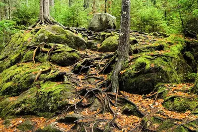 Image de Newly Renovated Extended Stay Hotel in Wa