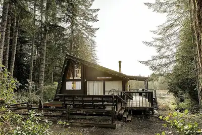 Image de Modern Forest Cabin + Hot Tub + Steam Sauna