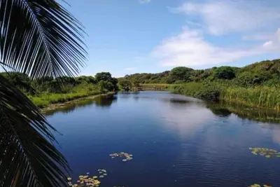 Image de House just a few meters from the sea in a super private condominium surrounded by nature.