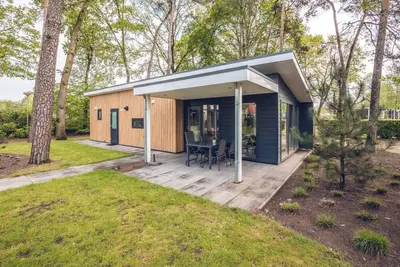 Image de Villa pour 4 personnes à Voorthuizen avec vue