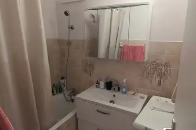 Image de Grand appartement confortable  a Dijon, bien situé et bien exposé.