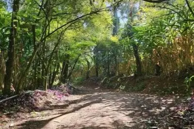 Image de Eco-Friendly Plantation Retreat Near Thekkady