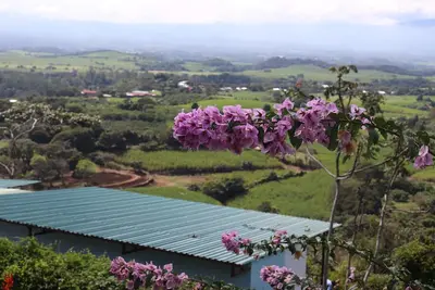 Image de The Toucan - Cozy Mountain Cabin, Stunning Views, Private & Quiet in Costa Rica