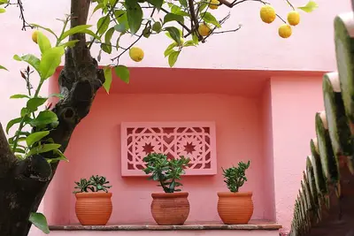 Image de Casa do Limoeiro at Serpa's Historical Center