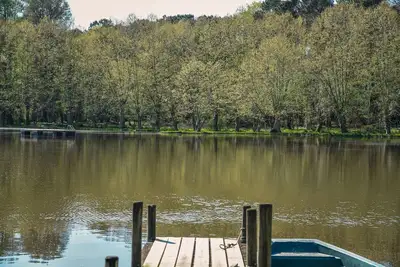 Image de Les Nymphéas, havre de paix landais, nature & étang privé