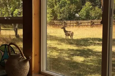 Image de Sadie's Place, Two Bedroom tucked into paradise.
