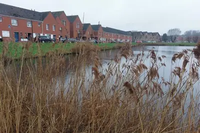 Image de Location pour 4 jours minimum, à la semaine ou au mois, 15 minutes de Dunkerque