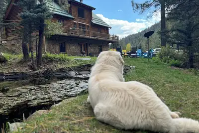 Image de Spacious 6br, 3 story, Mountain Lodge, Sleeps 14, Forest Views, Pecos River