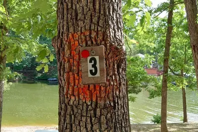 Image de DnD Campground Site #3 Beach Front and Lakeview