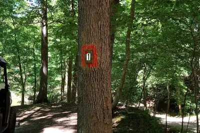 Image de DnD Campground Site 1 Private Lake Front Primitive Campsite