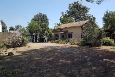 Image de La Bohémienne