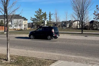 Image de Spacious Cozy Legal Basement Secondary Suite in Nw