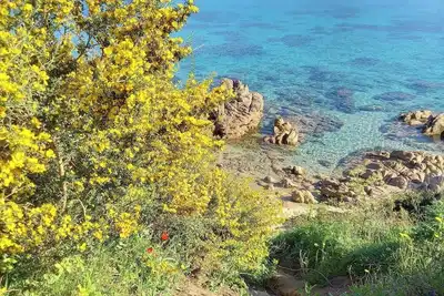 Image de Studio vue mer avec parking à 2 pas du centre ville