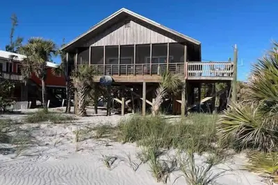 Turtle\"s Nest Summary