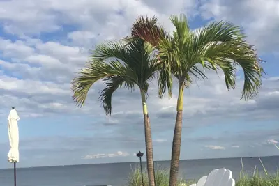 Image de Dulce La Donna by the beach