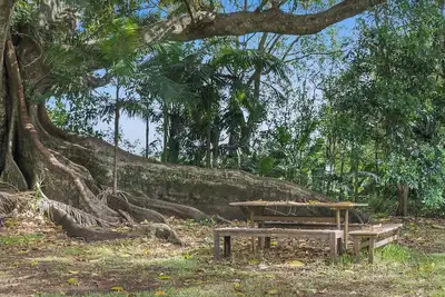 Image de Fig Tree House