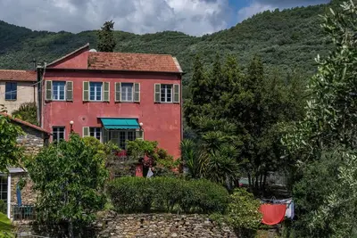 Image de Rustic Villa with pool in a quiet medieval village, surrounded by olive trees
