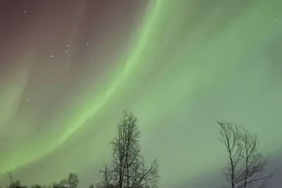 Image de Charming 2 Bedroom Apartment@ Nancy Creek, Willow Ak