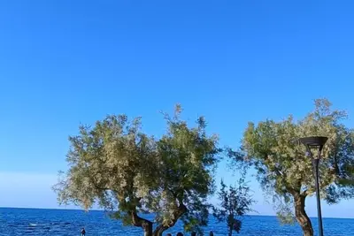 Image de Detached house 20 meters from the sea