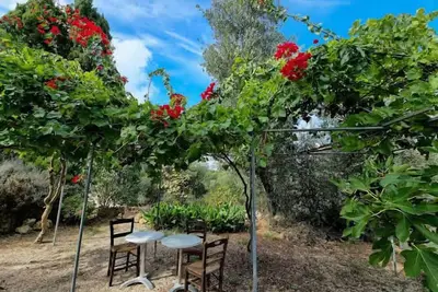 Image de Secret Garden Hideaway in Kefalonia